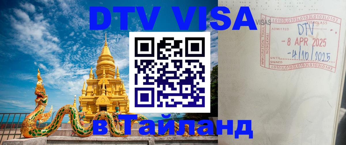 Оформление DTV визы под ключ: стоимость и тарифы, только загранпаспорт - Ульяновск 